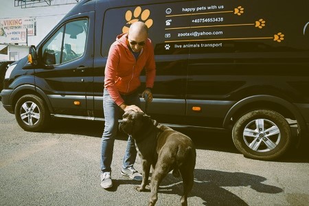 Date contact zoo-taxi.ro