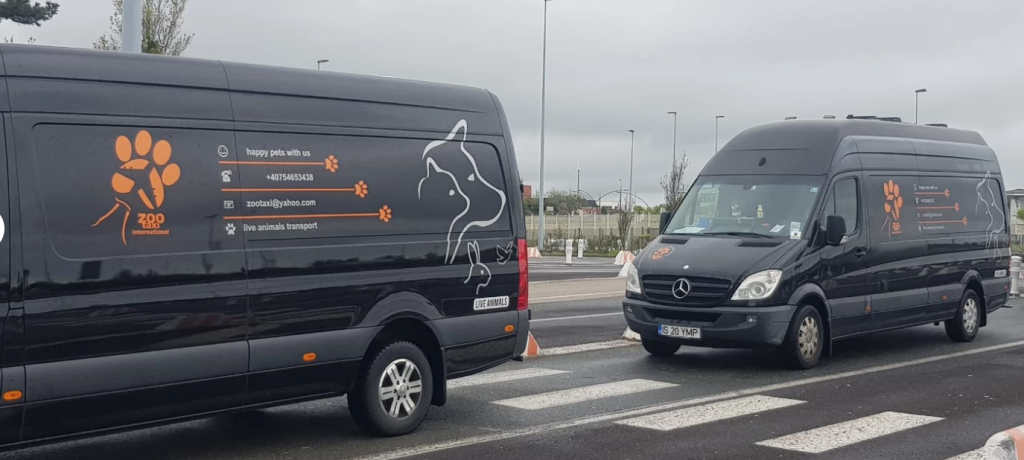 Transport caini Romania Luxembourg